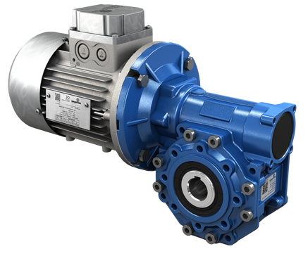 Worm Gear Reducer by Motovario